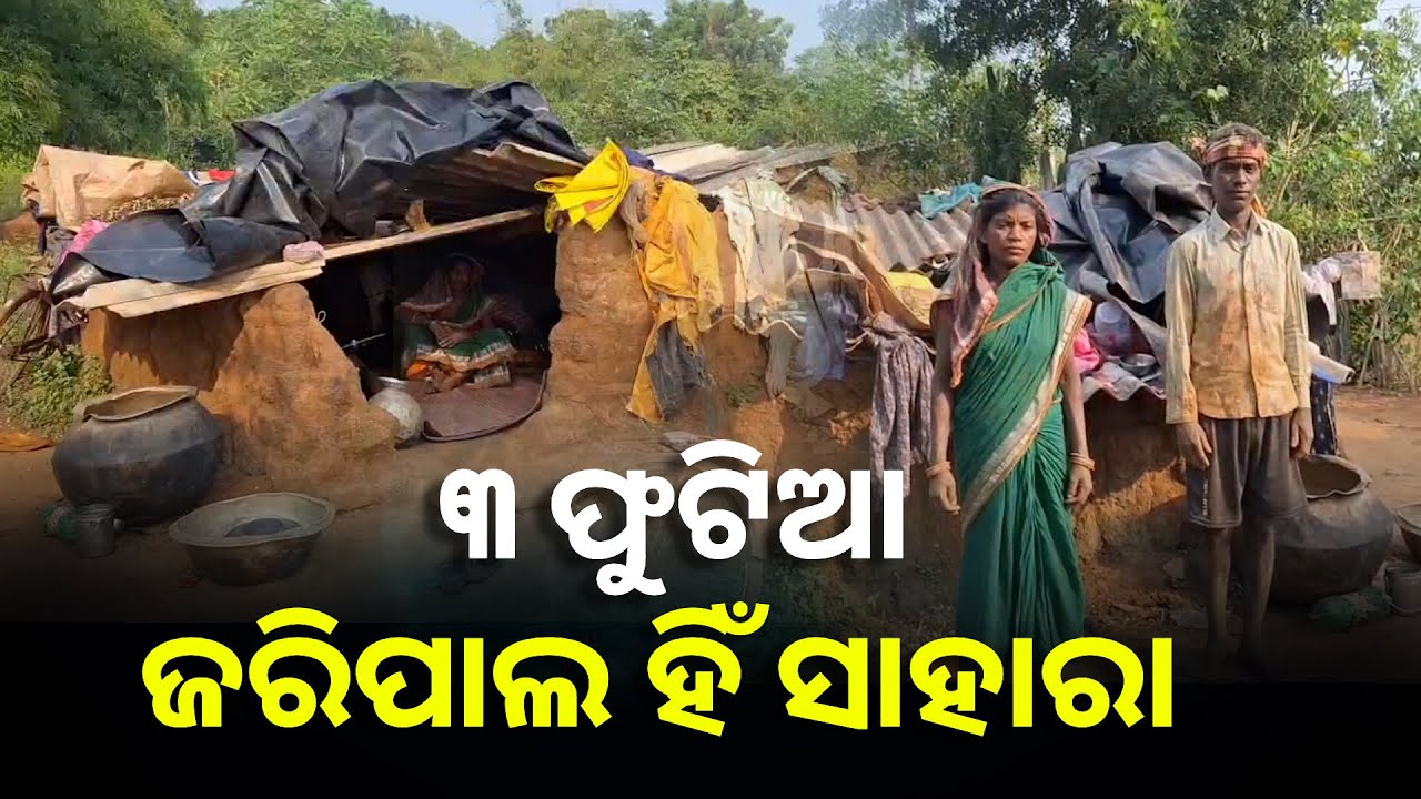 ବାତ୍ୟା "ଦାନା" ଦେଇଯାଇଛି ଦୁଃଖ, ଭଙ୍ଗା ଝୁମ୍ପୁଡ଼ି ଘରେ କଟୁଛି ଜୀବନ || Knews Odisha