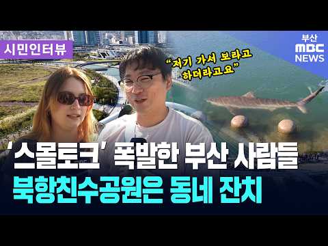 상어 나타난 북항친수공원에서 '스몰토크' 폭발한 부산 사람들 | 시민인터뷰