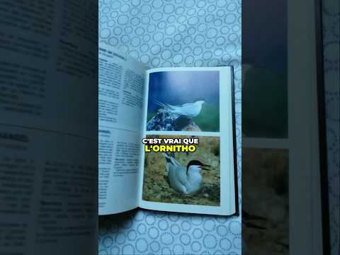 Ce vieux guide d'ornithologie a presque 50 ans ! 🦅 #oiseaux #birds #ornithologie #livre