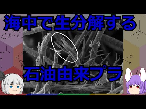 実は海で分解する！？石油由来プラで新たな発見！！（余談だらけのゆっくり化学解説174）