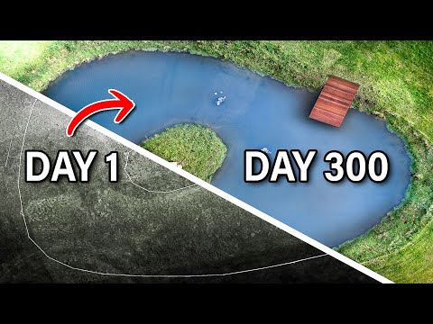 Building a MASSIVE Wildlife Pond! (Start to Finish We built a huge wildlife pond ecosystem transformation in an empty farmers' field. 11 months later w