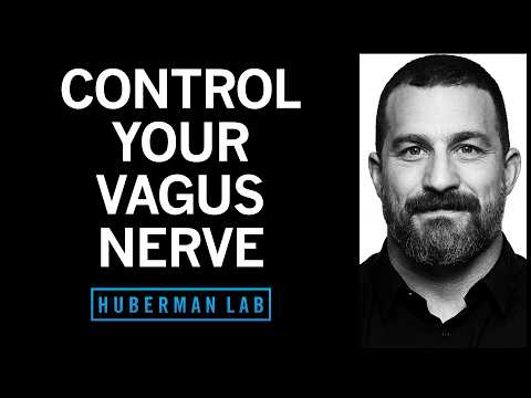 Unlocking the Power of the Vagus Nerve: A Comprehensive Guide