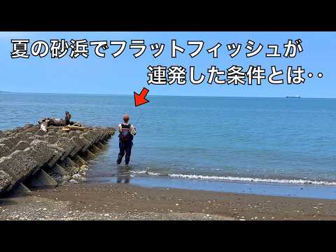 夏のサーフでヒラメ&マゴチ釣り。丸一日投げ続けて攻略法を探した結果
