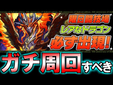 【神イベ到来】来週開催されるイベントが激アツです!!ミニてぃふぉんの周回は今週中に終わらせないとマズいぞ!!【パズドラ】