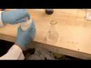 Weekend Project: How to Make Iodine - UChtY6O8Ahw2cz05PS2GhUbg