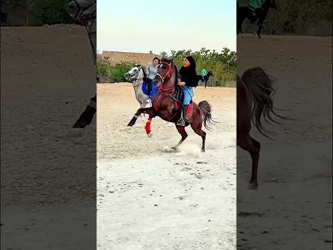 Horse power #horse #horseriding #equestrian