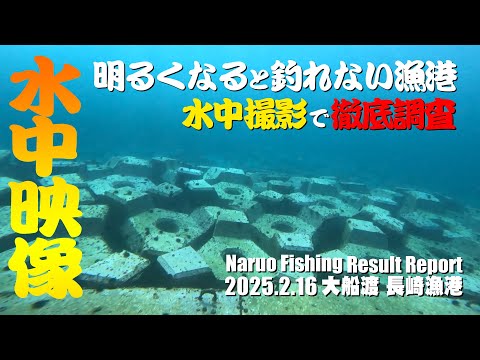 長崎漁港で水中映像！明るくなると釣れなくなる漁港の実態を徹底調査！