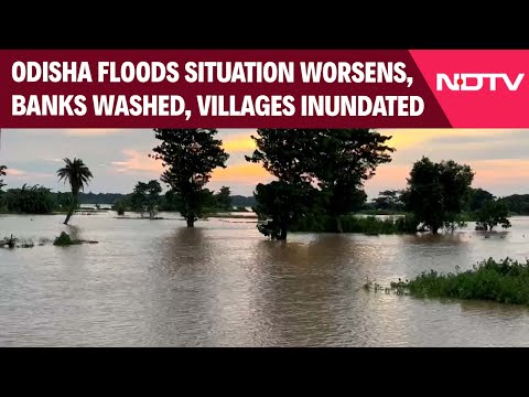 Odisha Floods News | Odisha Floods Situation Worsens,  Banks Washed Away, Villages Inundated