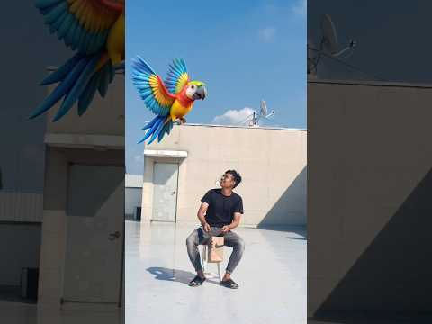 Flying crying babies Catching vs dancing gorilla,, Cute bhabhi,, parrot,, good day funny video