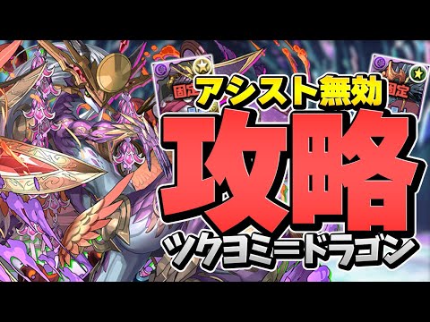ツクヨミドラゴン初見攻略！実は〇〇が一番強いです！！【パズドラ】