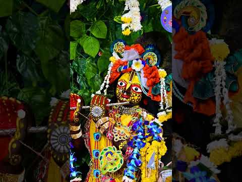 आज श्री राधा दामोदर भगवान कुंज केली में दर्शन दिए 🙏🙏#radheradhe #vrindavandham