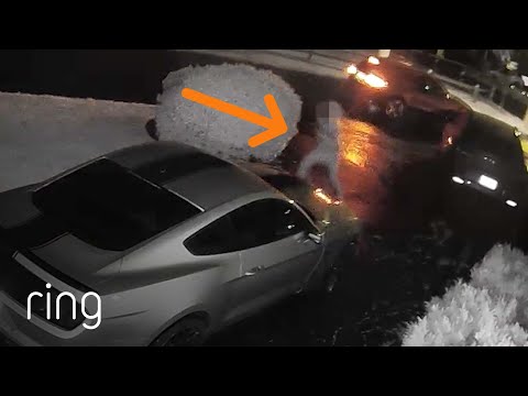 A Group of Strangers Approached a Parked Car in the Middle of the Night | RingTV