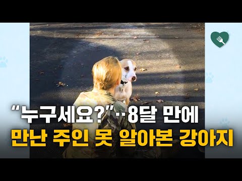 8달 만에 집에 돌아온 주인을 못 알아보는 반려견