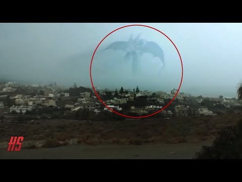 7 Mysterious Deep Sea Creatures Spotted On Google Earth | Racer.lt