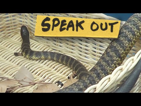 Speak Out  - Changing Minds, Saving Snakes