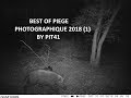 Best of piège photographique