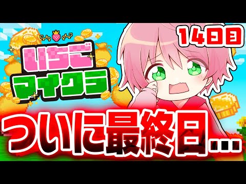 【 #いちごマイクラ 】これが最後の配信！サーバー終了まであと３時間、全力で楽しむぞ！！✨【14日目】【STPR／KnightX】【てるとくん】