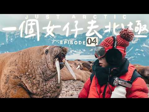 【🇳🇴北極】站在牠們面前的那一刻，我幾乎不敢移動👀｜一個女仔去北極EP4｜SVALBARD ARCTIC VLOG｜RedisPolly