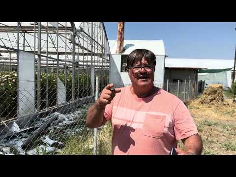 Ιδιοκτήτης θερμοκηπίου στη Νέα Αγχίαλο στο CNN Greece | CNN Greece