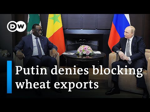 Africans 'victims' of the Ukraine war, AU head tells Putin | DW News