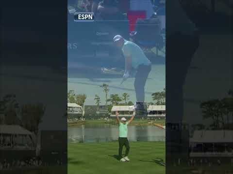 Ryan Fox HOLE-IN-ONE at The Players Championship 😲🏌️