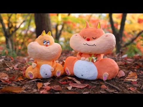 秋の紅葉【2025年】おうちのジューベリーが紅葉【紅葉を見に福井県鯖江の西山公園へ】｜Coris cooking