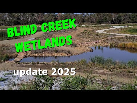 Nature Walk 2025 | Blind Creek wetlands UPDATE The Blind Creek Wetlands behind the Knox Shopping Centre is now over 12 months old, so it's time for