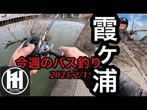 バス釣り今週の霞ヶ浦！北浦　外浪逆浦　堀割川　流入河川2025年2月15日