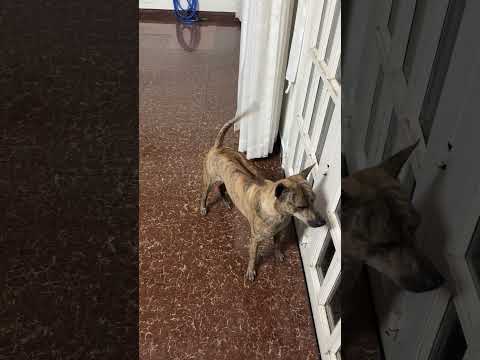 Let’s go #hellonewness #rewirethinkinglab