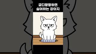 궁디팡팡하면 싫어하는 강아지