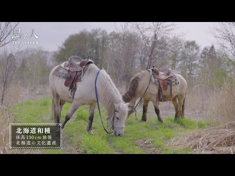 馬と人 在来馬を巡る8つの物語 北海道和種編
