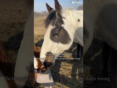 #horse #equestrianjourney #horseenthusiast #stopanimalabuse #equestrian idea from @Reags_horses