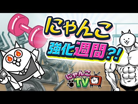 【にゃんこTV】新イベント『にゃんこ強化週間』にゃ!【にゃんこ大戦争公式】