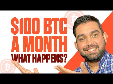 I invested $100 in Bitcoin every Month for a year! Here are the results with price predictions!