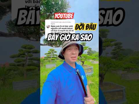 YouTube cây cảnh bây giờ ra sao #tuanbonsai  #bonsaichannel