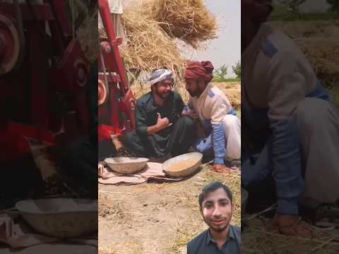 Zameen Mein Daig Chupa K Gandum 🌾 Chori Q Ki 😱 #khizaromer