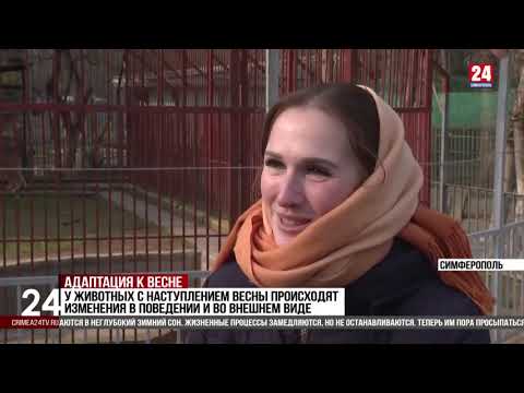 ☀️ Весна пришла: как просыпается Симферопольский зооуголок