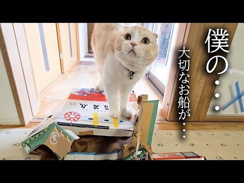 犬がうっかり猫達の大切なお船を壊したらこうなっちゃいました...