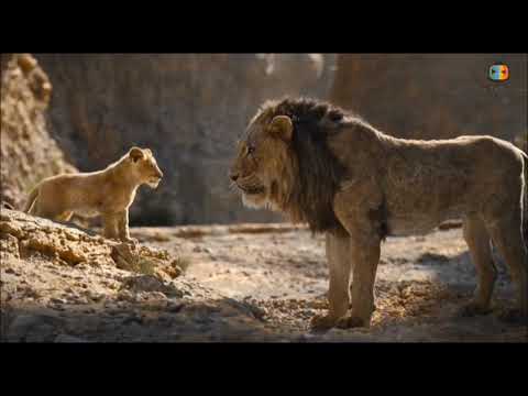 Scar lleva a simba al cañon || Nuevo Spot 2019 - Latino 1994