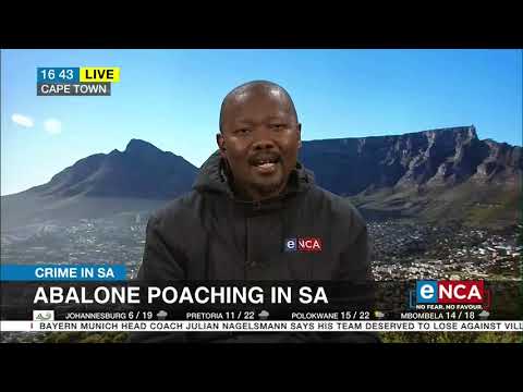 Abalone poaching in SA