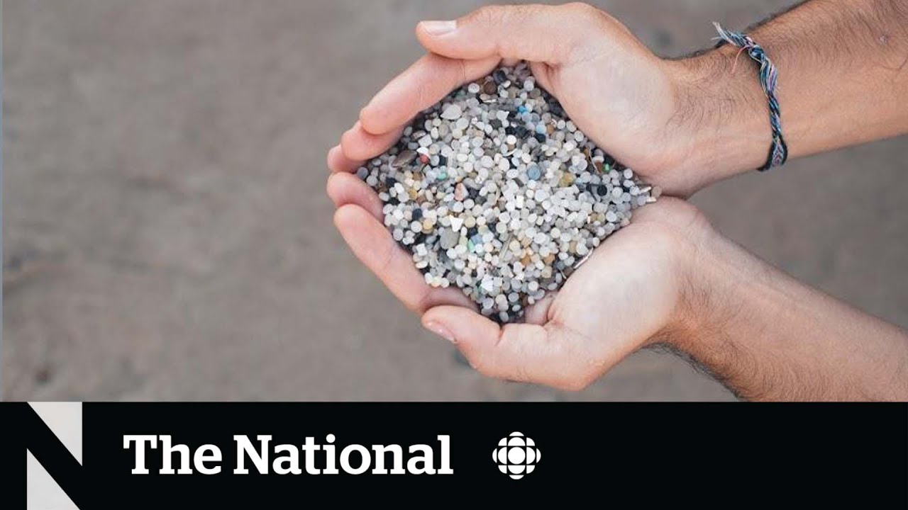 Microplastics a growing problem in Great Lakes, Ontario AG says
