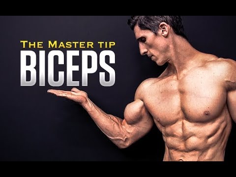 The Biceps Workout “Master Tip” (FASTER GAINS!) - UCe0TLA0EsQbE-MjuHXevj2A