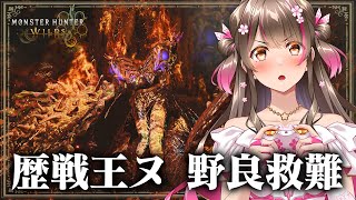 歴戦王ヌ・エグドラの野良救難は難しいのか?!挑戦してみるよ!【モンハンワイルズ アプデ】