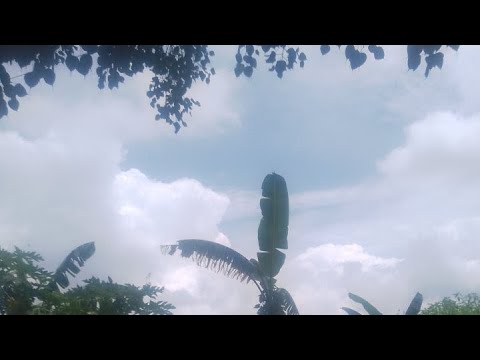 DeenClips Studio  is live