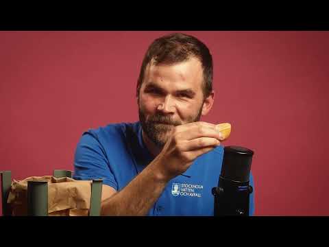 Matavfall som ASMR