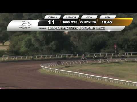 Hipódromo La Punta - HANDICAP JUAN ESTEBAN PEDERNERA (Carrera 11) 22/02/26