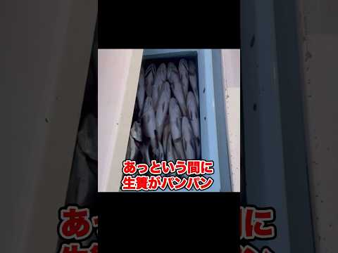 宮崎県の漁業に密着してみた！！