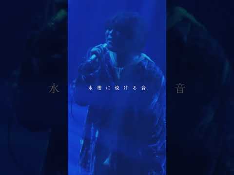 YOURNESS「日照雨」（ ONE MAN LIVE 2025 Evanescent ）#shorts