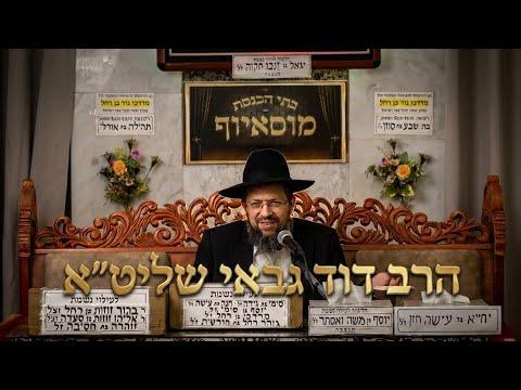 הרב דוד גבאי פרשת שופטים תשפ'ו