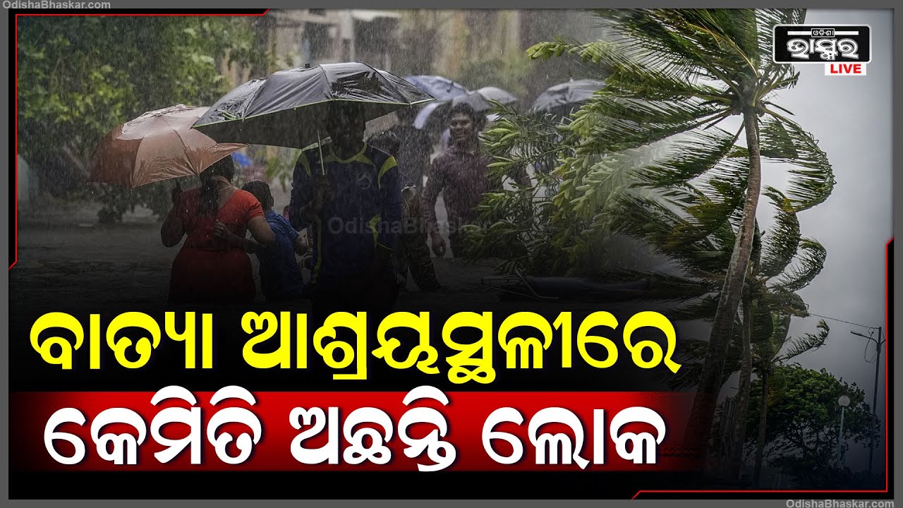 ବାତ୍ୟା ଆଶ୍ରୟସ୍ଥଳୀରେ କେମିତି ଅଛନ୍ତି ଲୋକ ,ଦେଖନ୍ତୁ ରିପୋର୍ଟ ପୁରା ଗ୍ରାଉଣ୍ଡ ଜ଼ିରୋରୁ Cyclone Dana